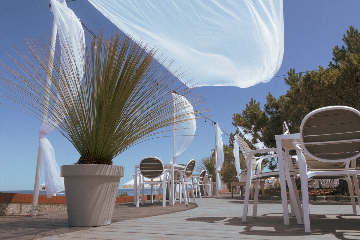 Gardin Natur досі на хвилі популярності