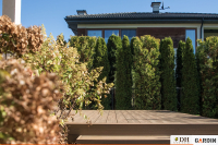 Золота осінь у відтінках Gardin Natur